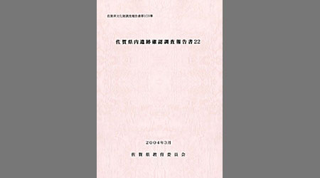 Amazon.co.jp: 岸岳城跡 測量調査報告書 北波多村文化財調査報告