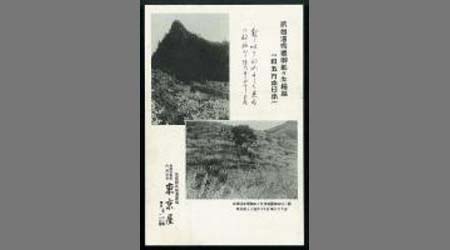 武雄温泉場御船ヶ丘梅林一目5万本日本一